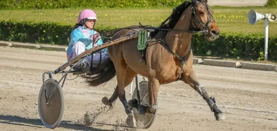 Hitta de bästa tipsen på trav