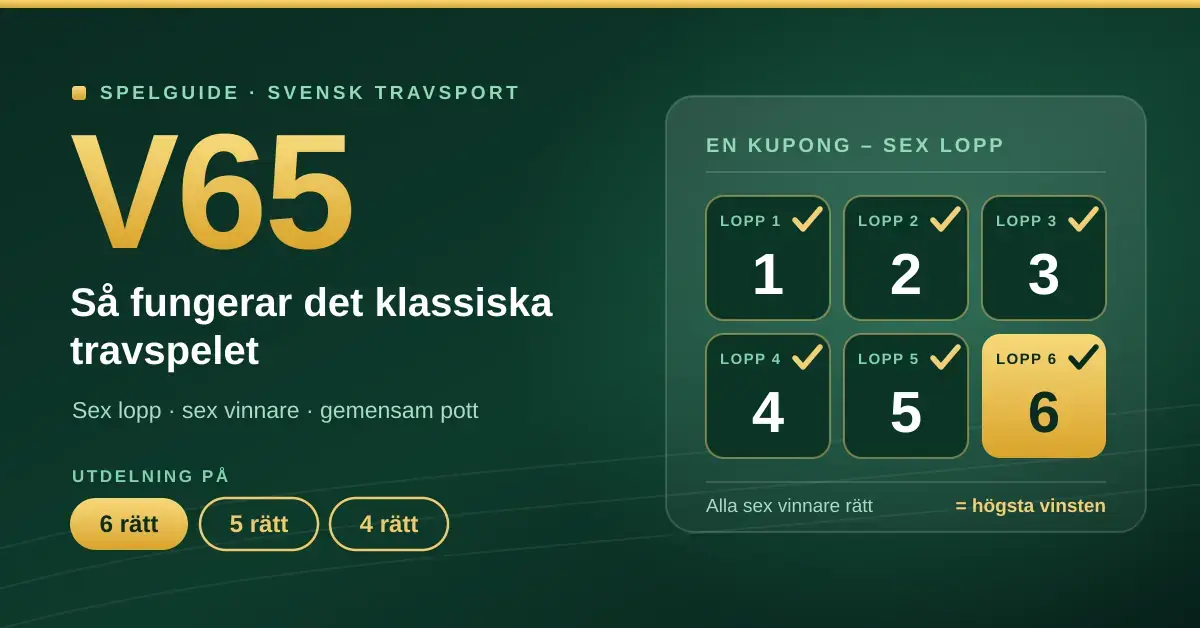 Grafik i grönt och guld med rubriken ”V65 – så fungerar det klassiska travspelet”, en kupong med sex avbockade lopp och utdelningsnivåerna 6, 5 och 4 rätt.