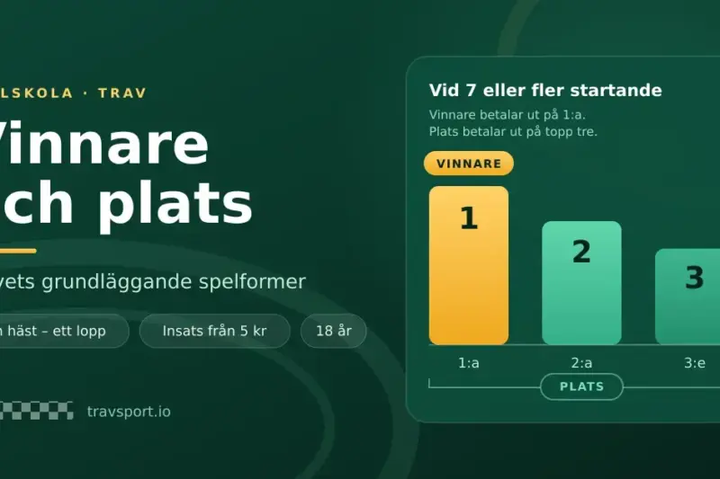 Illustration i grönt och guld med rubriken "Vinnare och plats – travets grundläggande spelformer" och en prispall där häst 1, 2 och 3 visar att vinnarspel betalar ut på förstaplatsen medan platsspel betalar ut på topp tre vid sju eller fler startande.