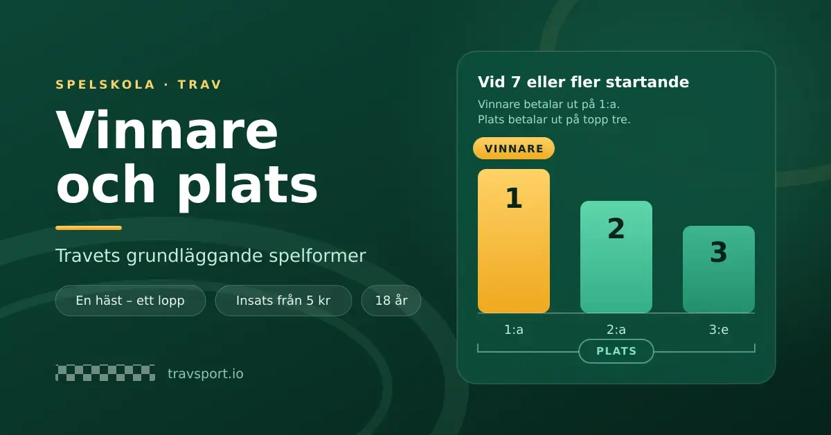 Illustration i grönt och guld med rubriken "Vinnare och plats – travets grundläggande spelformer" och en prispall där häst 1, 2 och 3 visar att vinnarspel betalar ut på förstaplatsen medan platsspel betalar ut på topp tre vid sju eller fler startande.